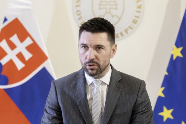Slovensko nebude hlasovaci automat reagoval Takac