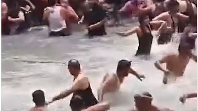 Vtacik v preplnenom bazene Had sposobil paniku medzi rekreantmi