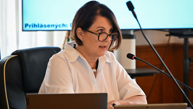 Sudna rada reaguje na Zalesku a Todovu Vztah sudcu a novinara nesmie ovplyvnit rozhodovanie