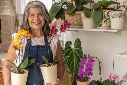 5 zlatych pravidiel na opatovne kvitnutie orchidey