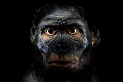 Neandertalci nezmizli ich geny prechadzaju generaciami