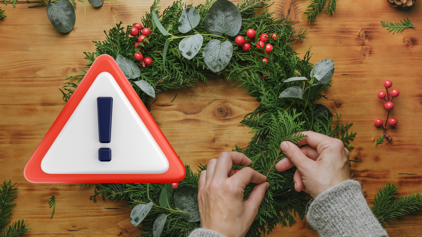 Varovanie pred adventom 5 rastlin ktore ohrozuju deti a zvierata