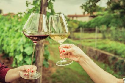 Vianari hovoria o historickej krize vino sa predava pod vyrobnou cenou