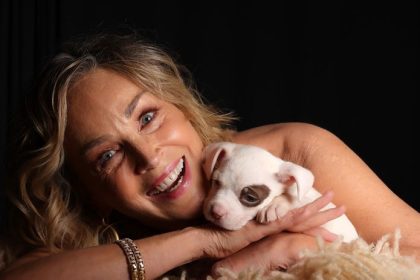 Kto si to sem do pekla sadol Sharon Stone nespoznali a vulgarne ju urazili Herecka im to spocitala drsnou lekciou o slave