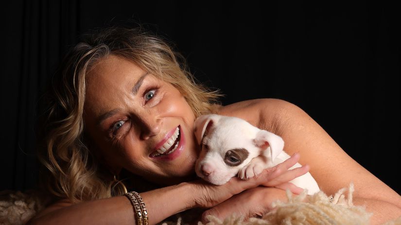 Kto si to sem do pekla sadol Sharon Stone nespoznali a vulgarne ju urazili Herecka im to spocitala drsnou lekciou o slave