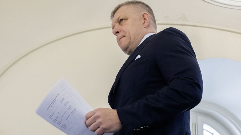 Vladni auditori odhalili chyby v projektoch Marty Simeckovej zdruzenie musi vratit dotacie kvoli duplicitnym fakturam