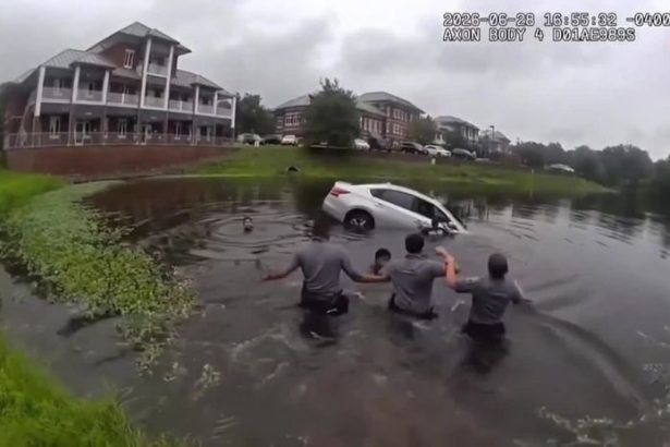 VIDEO Vodic zapichol auto priamo do jazera Pomohla mu ludska retaz