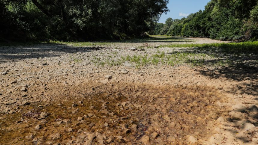Klimatolog o suchu na Slovensku Prechadzame z jedneho extremu do druheho Moze sa situacia e este zhorsit rozhovor